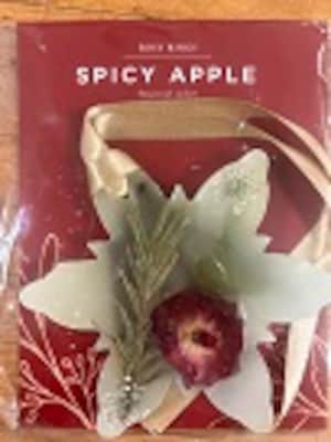 Spicy Apple Sachet